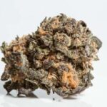 Granddaddy Purple THCA Flower