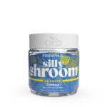 Silly Shroom CBD Gummies for Clarity – Pineapple – Urb Finest Flowers